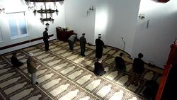 CLEAN: Return of Refugees is failing in Bosnia News Clip