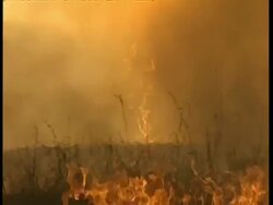 CU flickering orange flames, zoom out to WA, Sun seen through thick yellow smoke Stock Footage