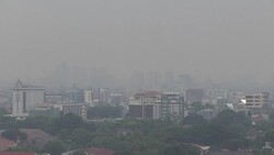Worldwide Pollution Kills More than War, Smoking News Clip