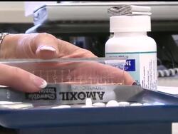 As the U.S. government gears up to combat the recent outbreak of swine flu, health officials in Texas are reporting six confirmed cases in the state.  Rich Matthews has more on the public mood there. News Clip