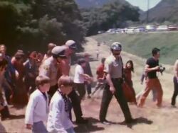 Man arrested at hippie love-in Stock Footage