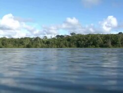 Gliding Over the Amazon Stock Footage