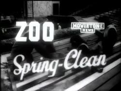 ZOO SPRING-CLEAN News Clip