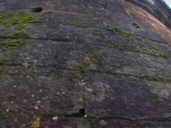 Interior shot inside Chinese temple with golden shrine and drummer with large drum Stock Footage