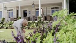 Senior woman gardening Stock Footage