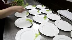 Catering food preparation. Stock Footage