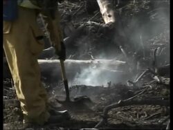 Bush fires in Beverly Hills News Clip