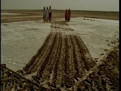 Time lapse - WA Gujarat, Indian family, treading salt in to mud, Gujarat, India Stock Footage