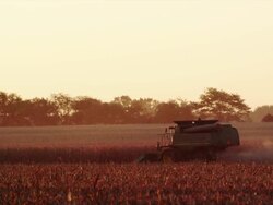 Wide shot, a combine harvests the corn crop at sunset. Stock Footage