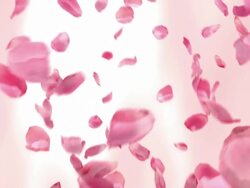 Falling Rose Petals (Loopable) Stock Footage