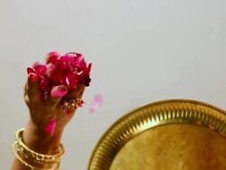 Low angle view of young woman falling flower petals Stock Footage