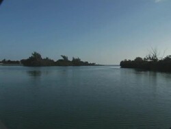 LOW AERIAL, Cayman Islands, Grand Cayman, Stingray City, Gliding over water towards mangroves at dusk Stock Footage