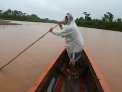 Boating along Quiquibey river, man with a rod pushes the boat away from the banks, Bolivia, Amazon Stock Footage