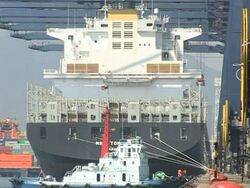 CLEAN: China posts scorching growth but prices heat up News Clip