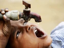 Thirsty - Stock Video Stock Footage