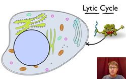 Viral Replication Instructional Video