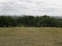 Female doing cart wheel in park Stock Footage