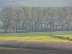 HD: landscape Stock Footage