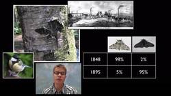 LS4B - Natural Selection Instructional Video