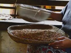 Ayurveda Stock Footage