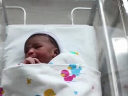 Newborn babies in a row in nursery Stock Footage