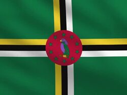 Dominica Flag Stock Footage