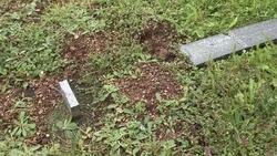 CLEAN: German WWI military graves desecrated in France News Clip