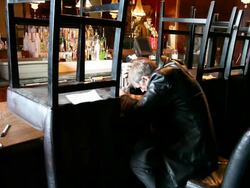 Broken Man at Closing Bar, Hits Fist in Frustration Stock Footage