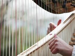 Detail of harp,time lapse Stock Footage
