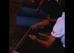 RR8150B PHILIPPINES EARTHWORMS A NEW SOURCE OF PROTEIN News Clip