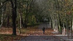 At least 2 dead in high winds in Czech Republic Instructional Video