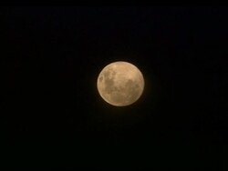 Long shot of the moon at night Stock Footage