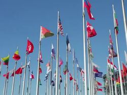 International flags Stock Footage
