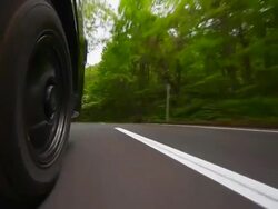 Driving  on green forest road Stock Footage
