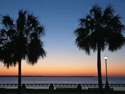 Waterfront Park Stock Footage
