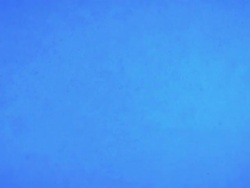 Mini bubbles Stock Footage