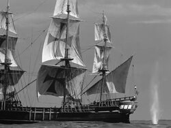 Model, Spanish galleon Stock Footage