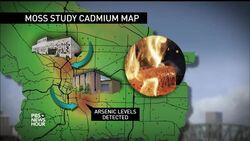 How moss revealed undetected air pollution  News Clip