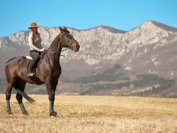 HD: Country Woman Stroking Her Horse Stock Footage