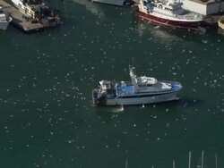 Sete Harbour And Old Town Stock Footage