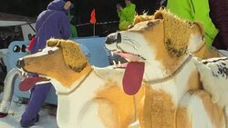 CLEAN : Czechs take to sledge flying News Clip