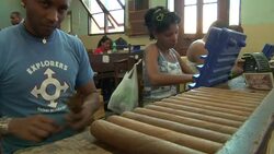 Cigar rollers assemble cigars at the Partagas cigar factory in Cuba. Stock Footage