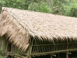 MS PAN Shot of Rungus long house / Kota Kinabalu, Sabah, Malaysia  Stock Footage