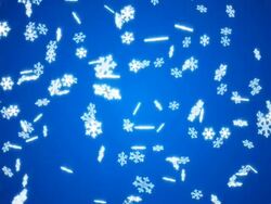 Snow HD blue Stock Footage