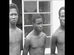 SYND  25 8 67 PRISONERS OF WAR FROM BIAFRA INTERROGATED Instructional Video
