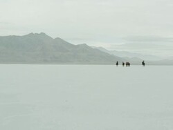 Horses running with cowboys riding across salt flats. Stock Footage