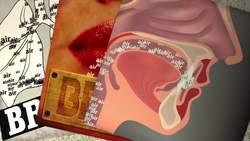 TED-ED: How brass instruments work - Al Cannon Instructional Video