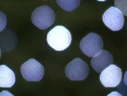 (HD1080i) Flashing Christmas Lights, Blurred Stock Footage