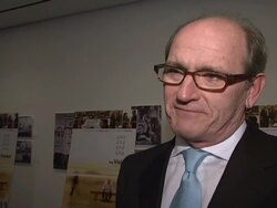 'The Visitor' Premiere Stock Footage