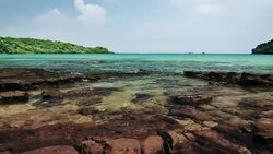 Stones on Wild Rocky Coastline Stock Footage
